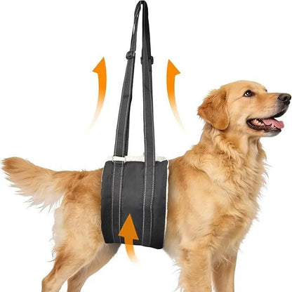Volas Pet Dog Rear Leg Injury Recovery Support Harness