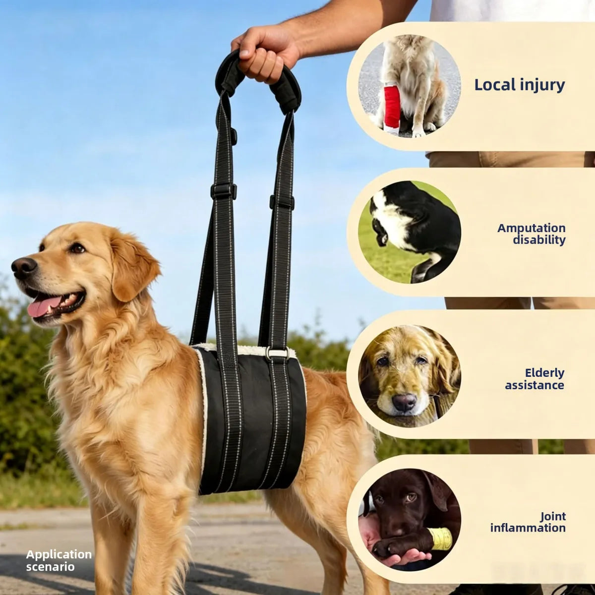 Volas Pet Dog Rear Leg Injury Recovery Support Harness