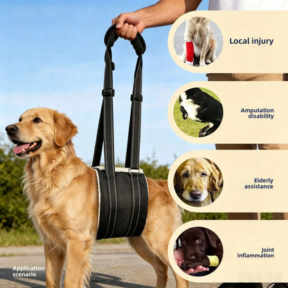 Volas Pet Dog Rear Leg Injury Recovery Support Harness